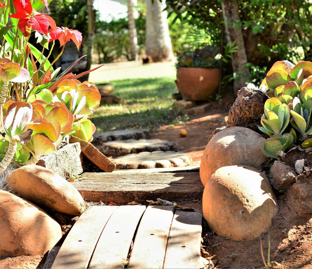 la maison avec jardin