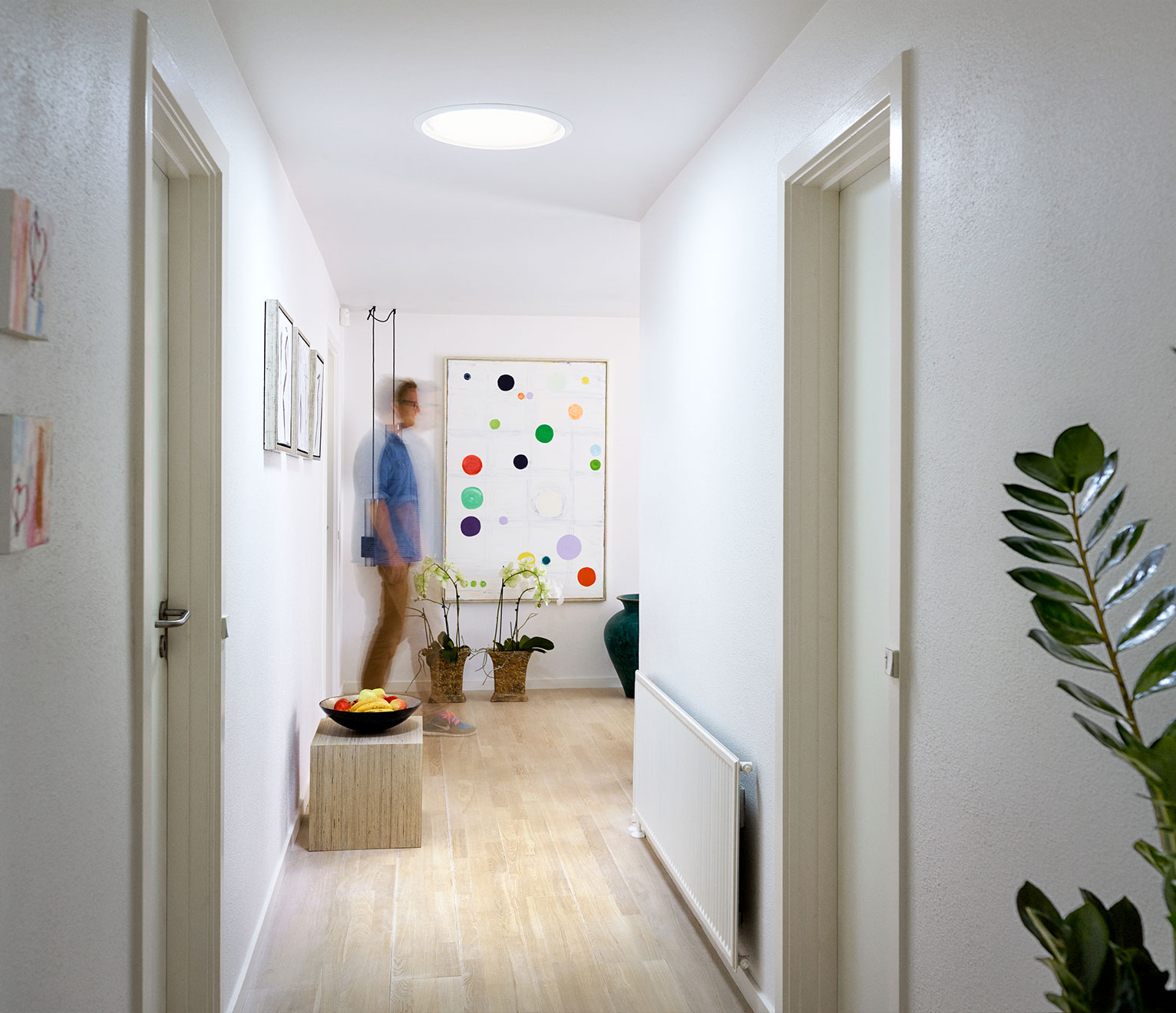 velux sun tunnel dans la maison