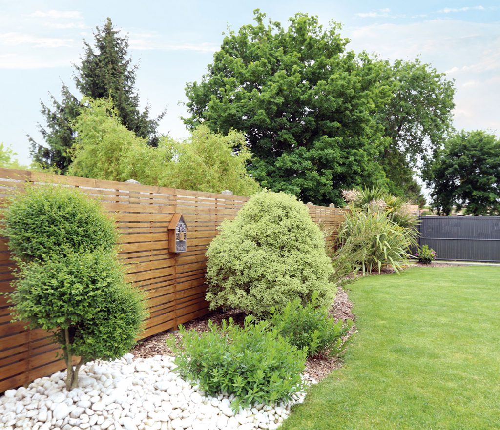 créer in jardin zen avec IGC