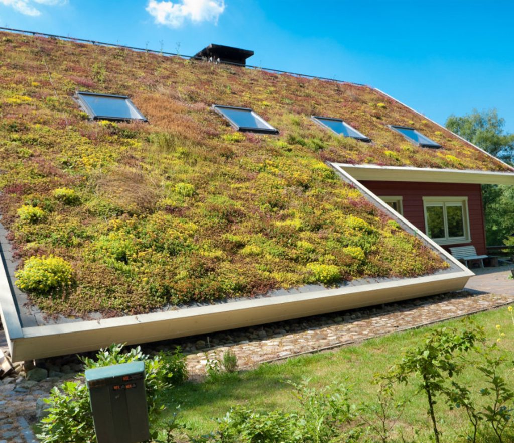 une toiture végétale inclinée