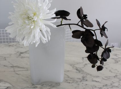 maison contemporaine belle époque déco