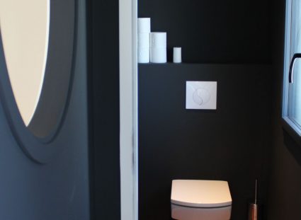 toilettes épurées design