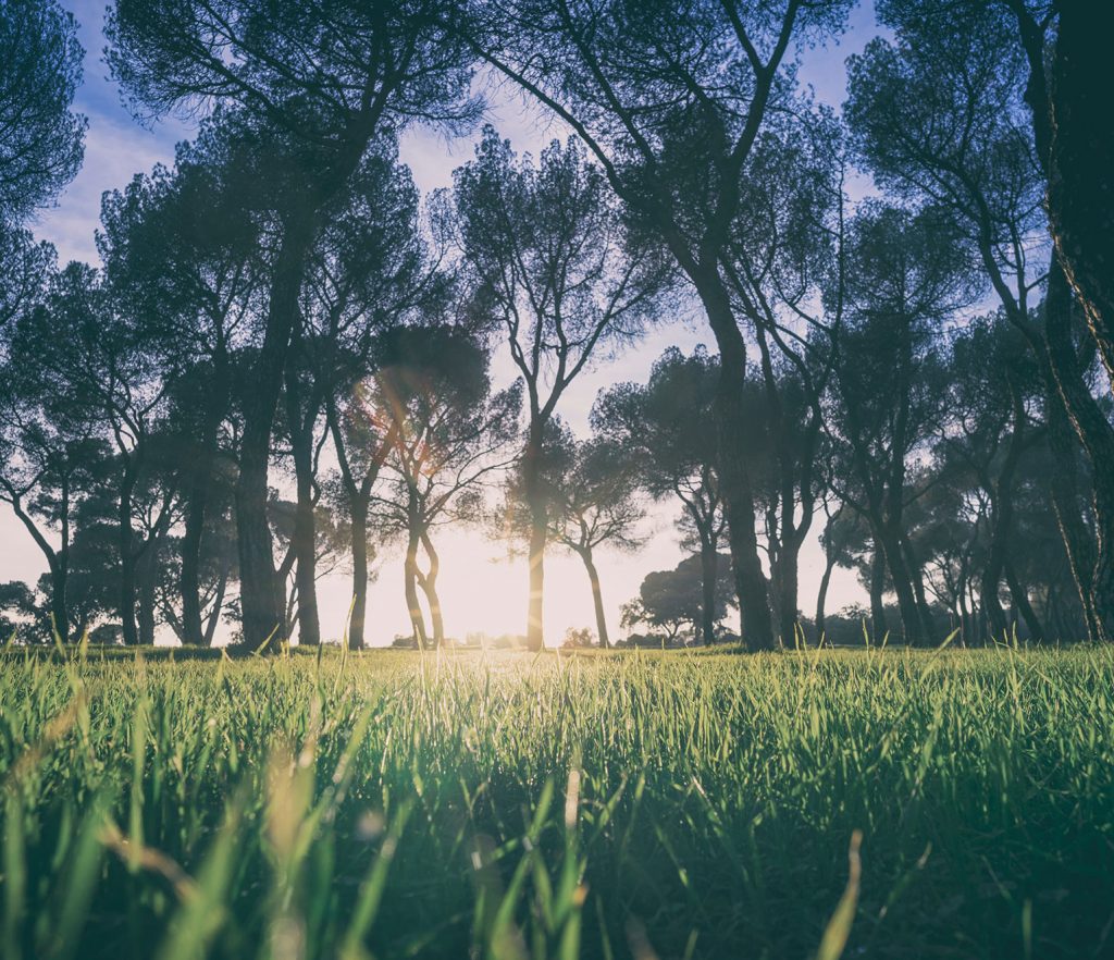 choisir un terrain à construire